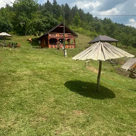 Ferienhaus Raj Na Drini Blace